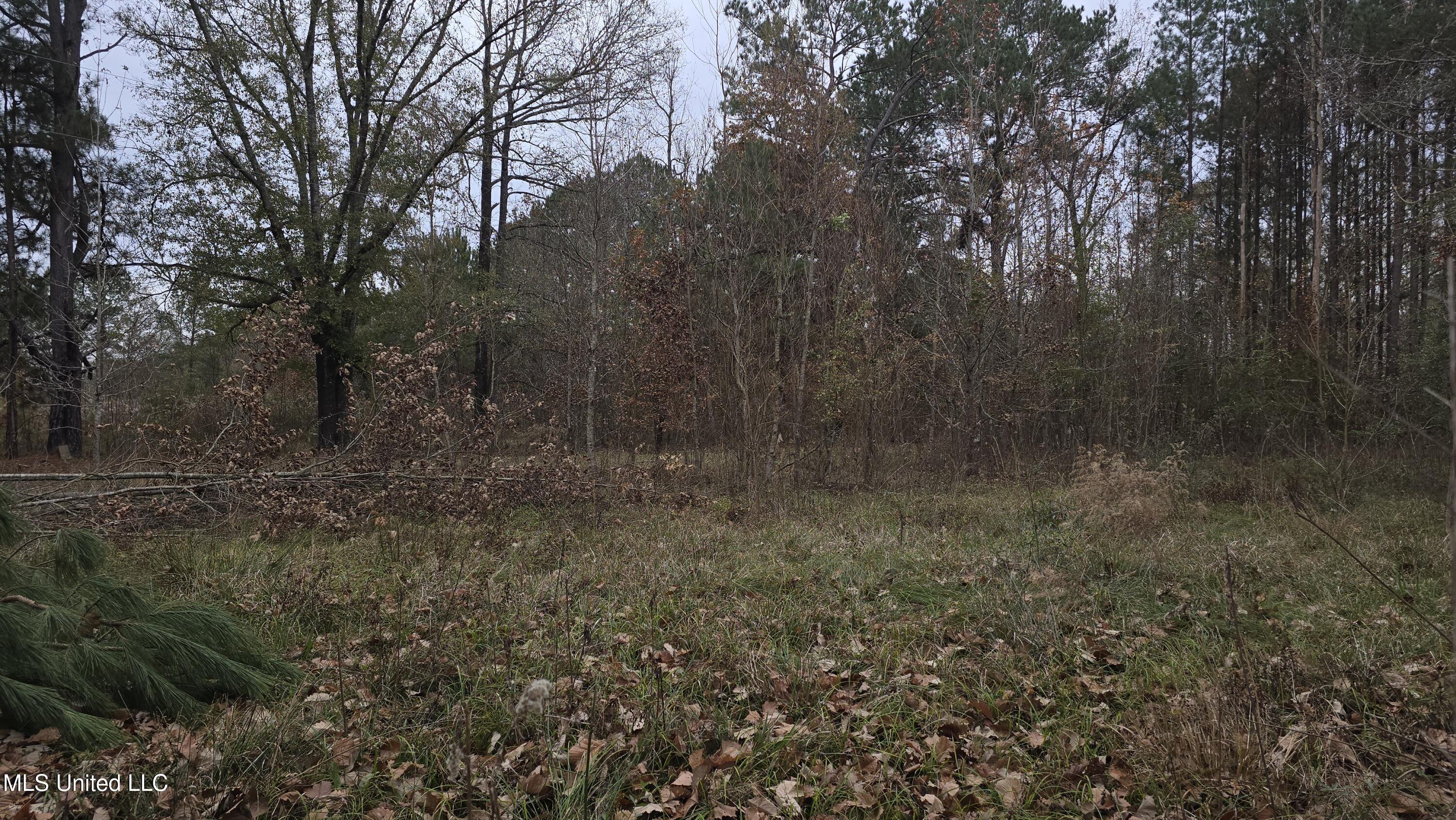 6427 Highway 33 Property Photo 21