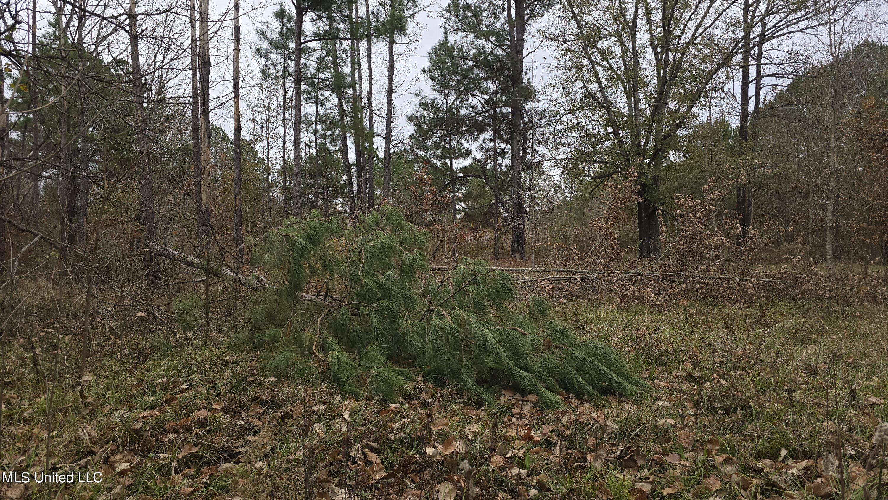 6427 Highway 33 Property Photo 22