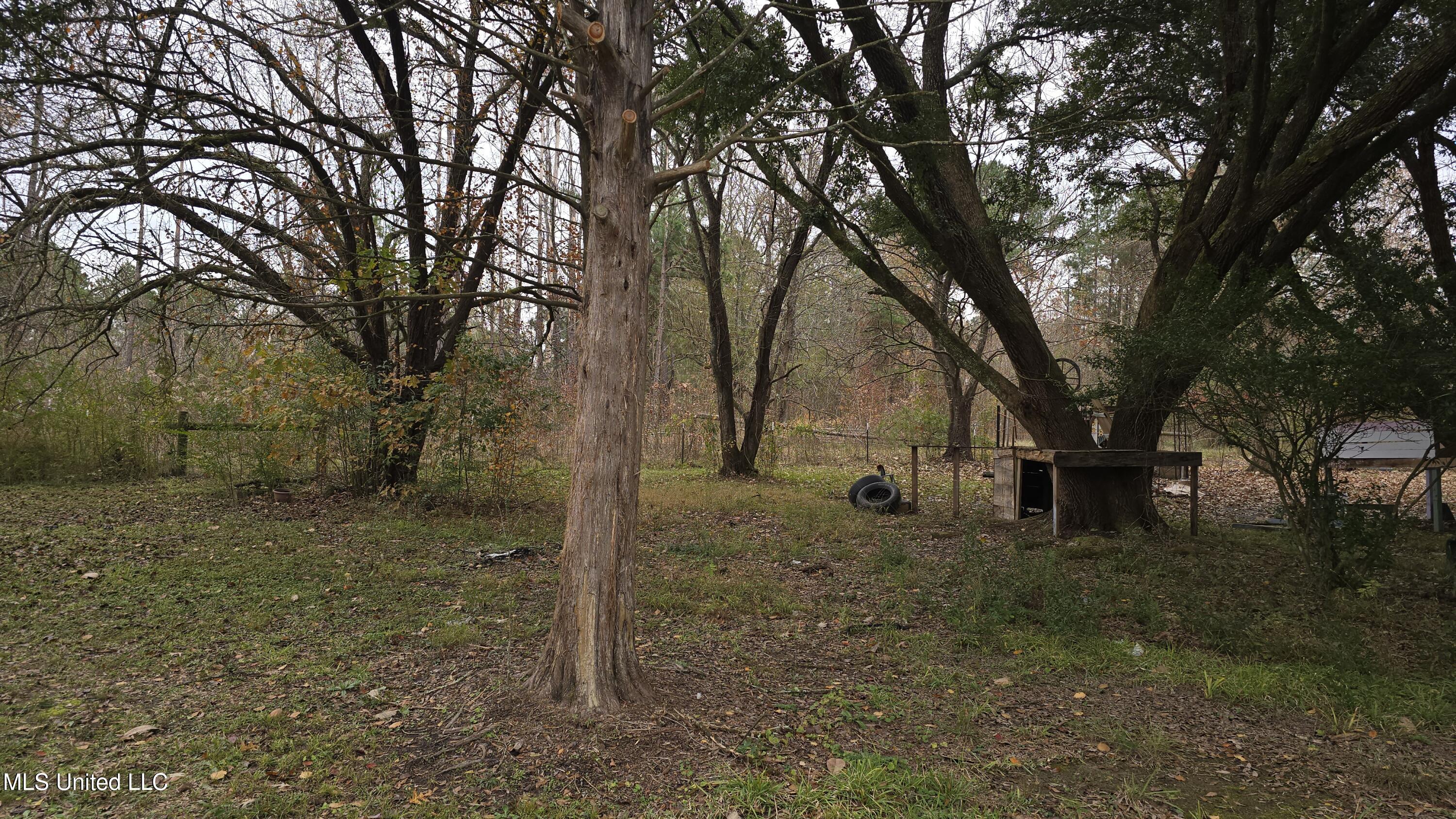 6427 Highway 33 Property Photo 25