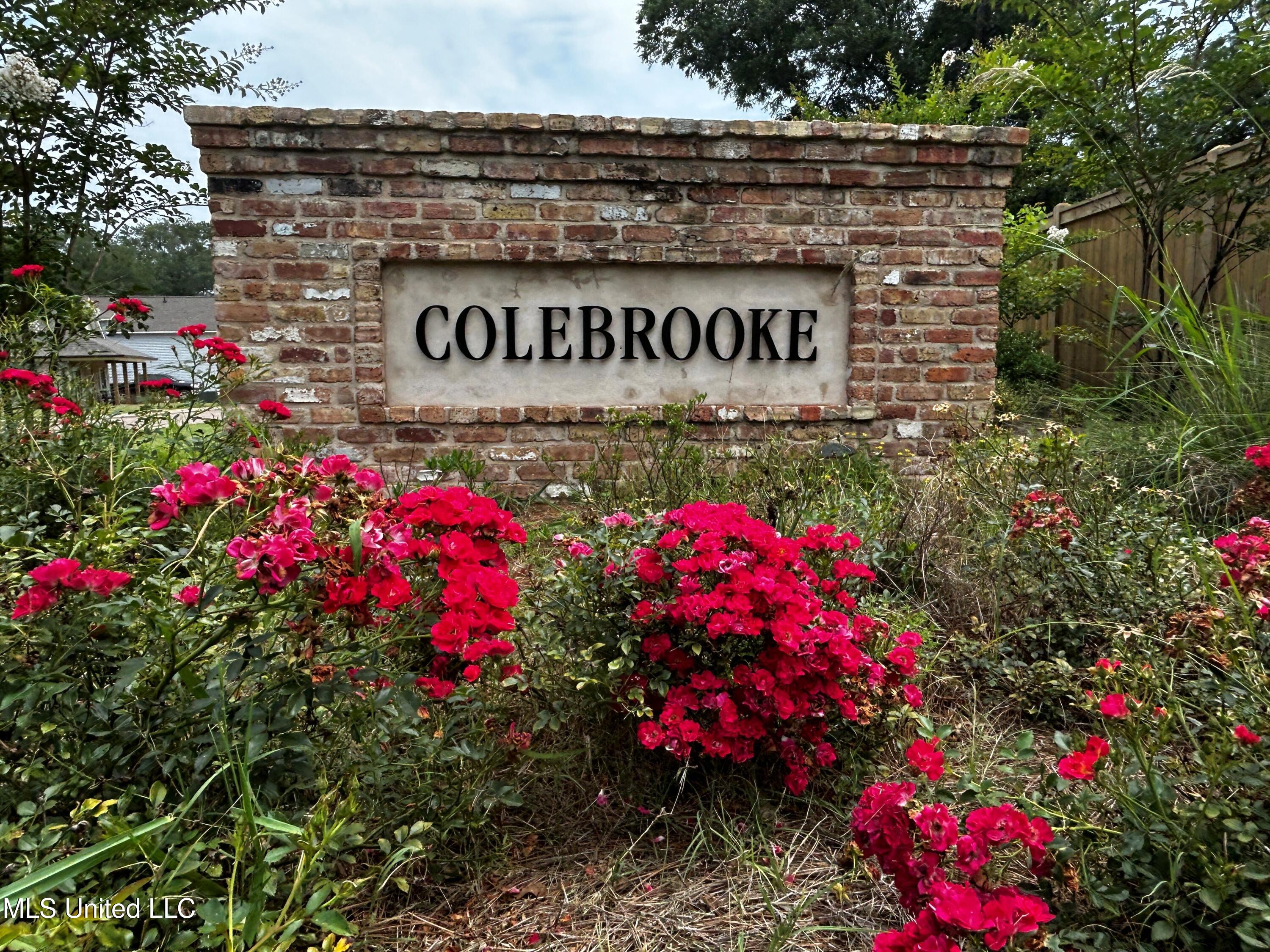107 Colebrooke Cove Property Photo 8