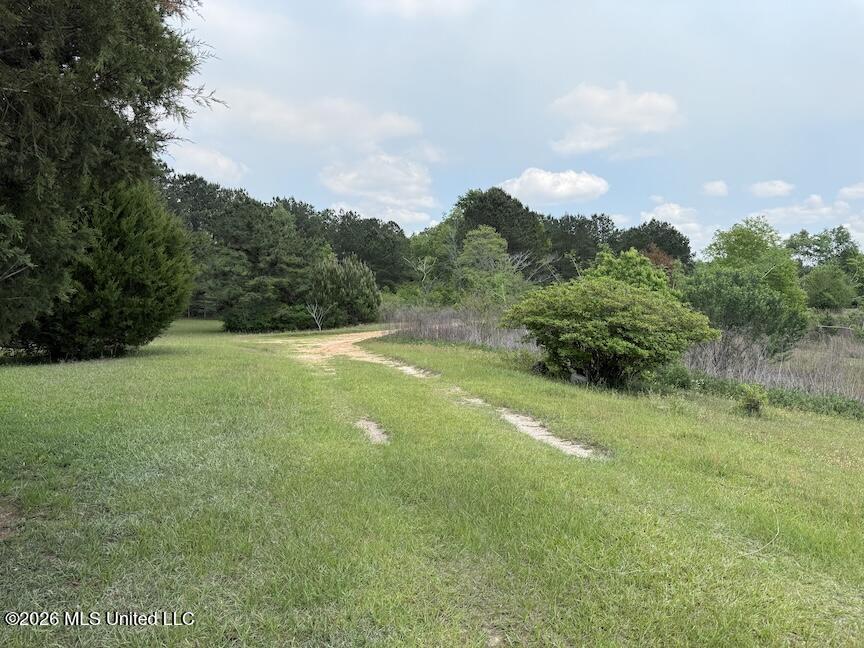 257 Magnolia Road Property Photo 26