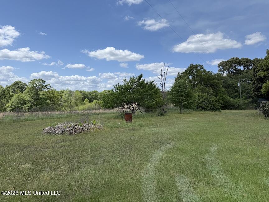 257 Magnolia Road Property Photo 27