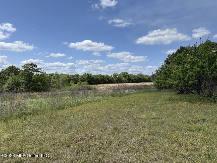 257 Magnolia Road Property Photo 28