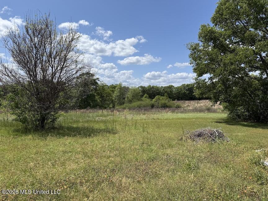 257 Magnolia Road Property Photo 30