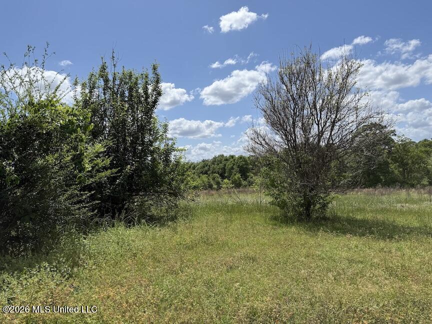 257 Magnolia Road Property Photo 31