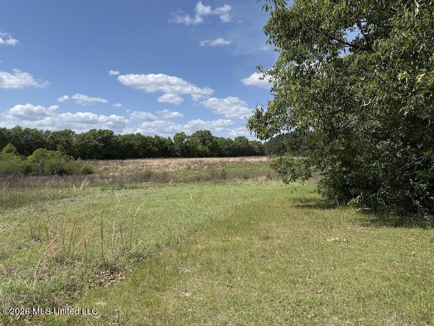 257 Magnolia Road Property Photo 32