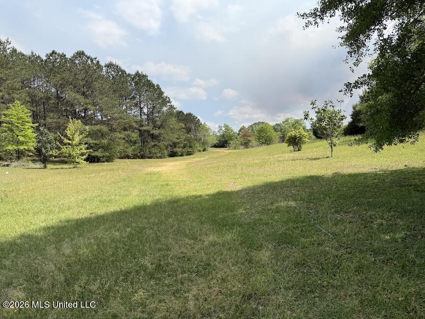 257 Magnolia Road Property Photo 35