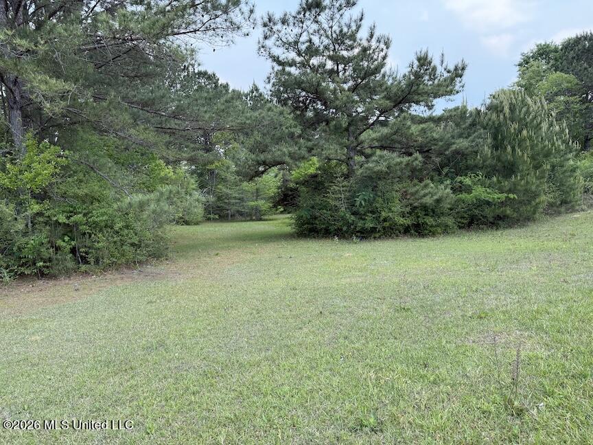 257 Magnolia Road Property Photo 37