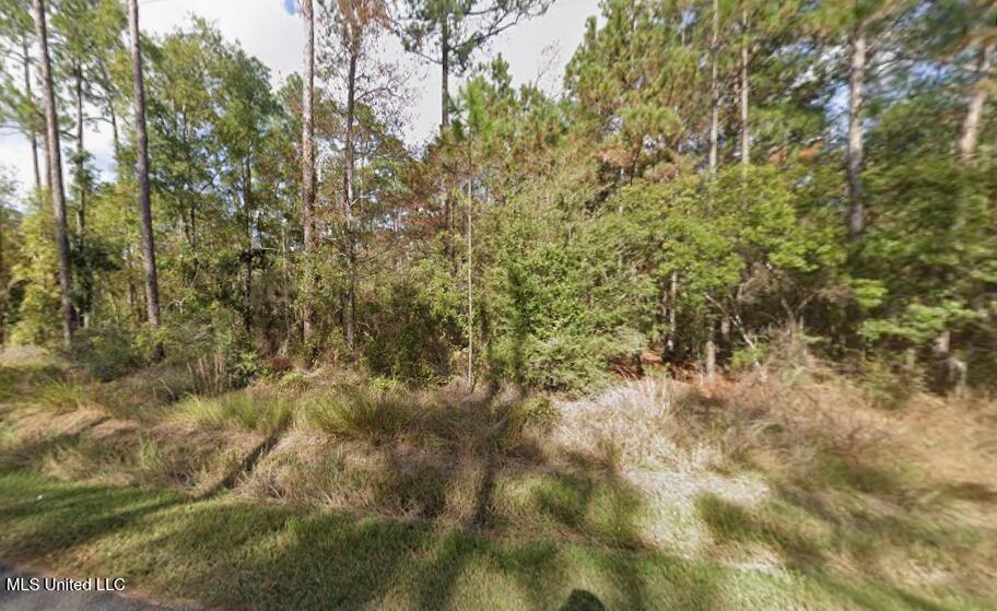 01 Dogwood Drive Property Photo 4