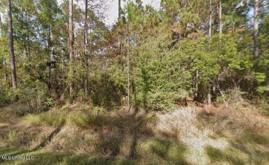 01 Dogwood Drive Property Photo 5