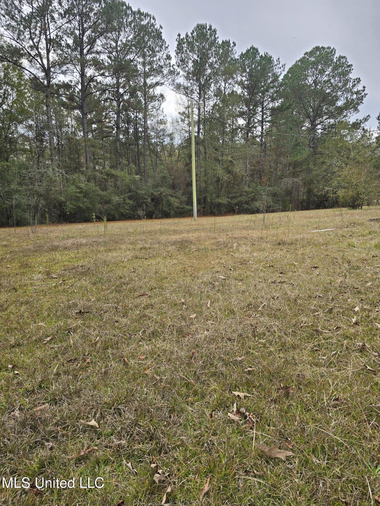 46 Matilda Lane Property Photo 3