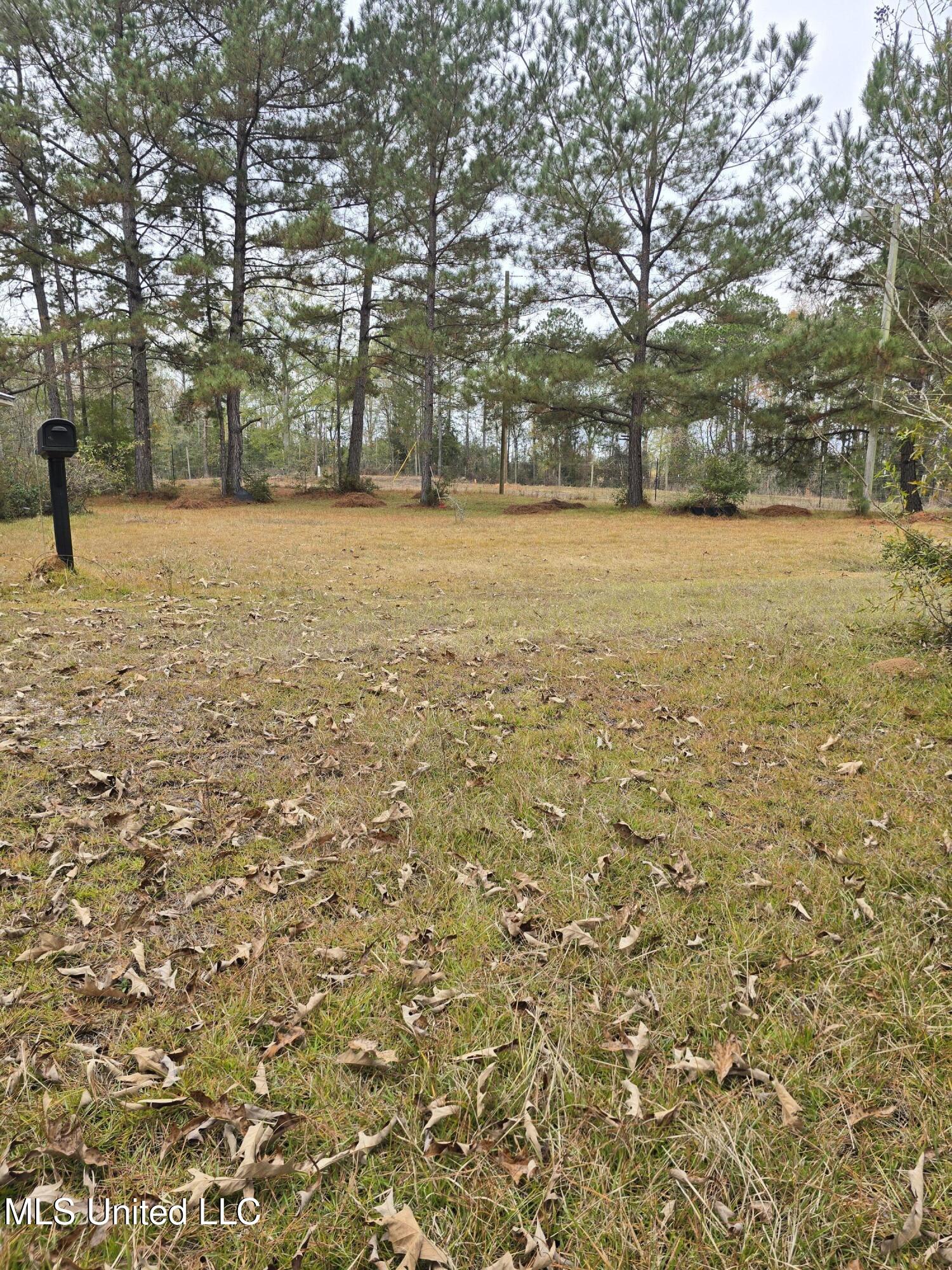46 Matilda Lane Property Photo 4