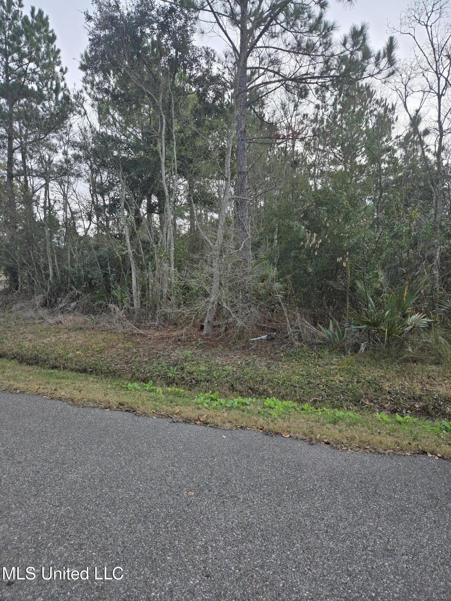 No Poinsettia Drive Property Photo 11