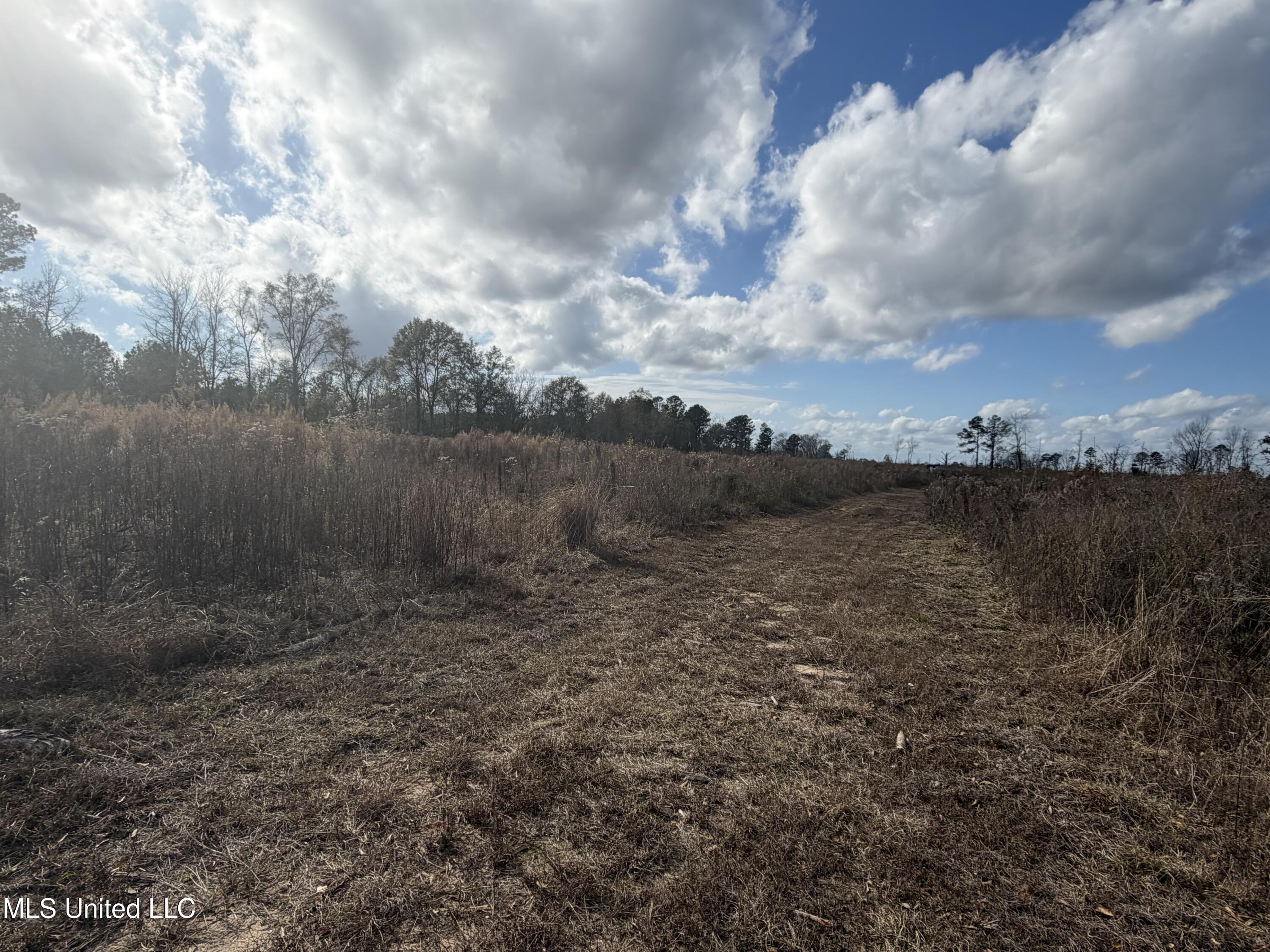 0 Clem Road Property Photo 5