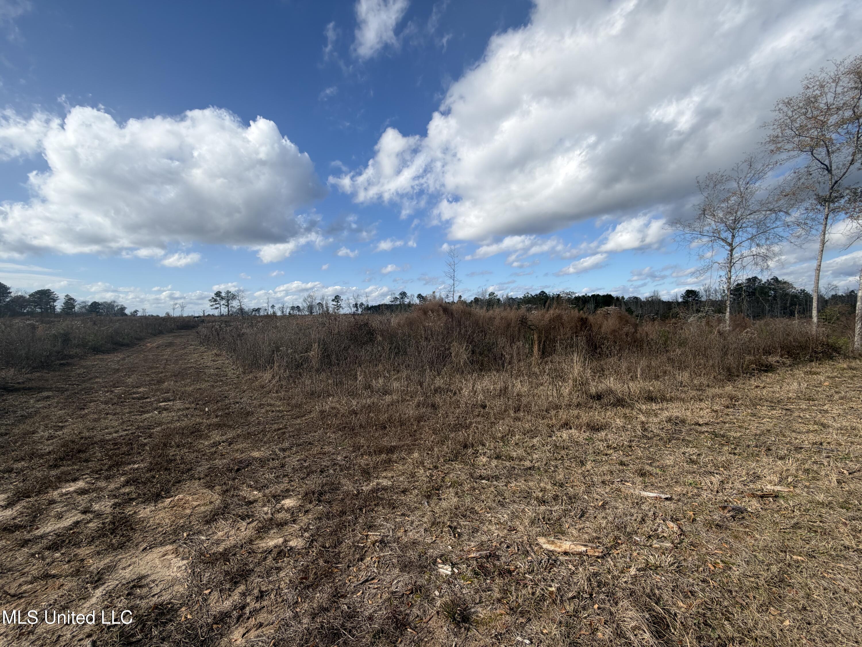 0 Clem Road Property Photo 6