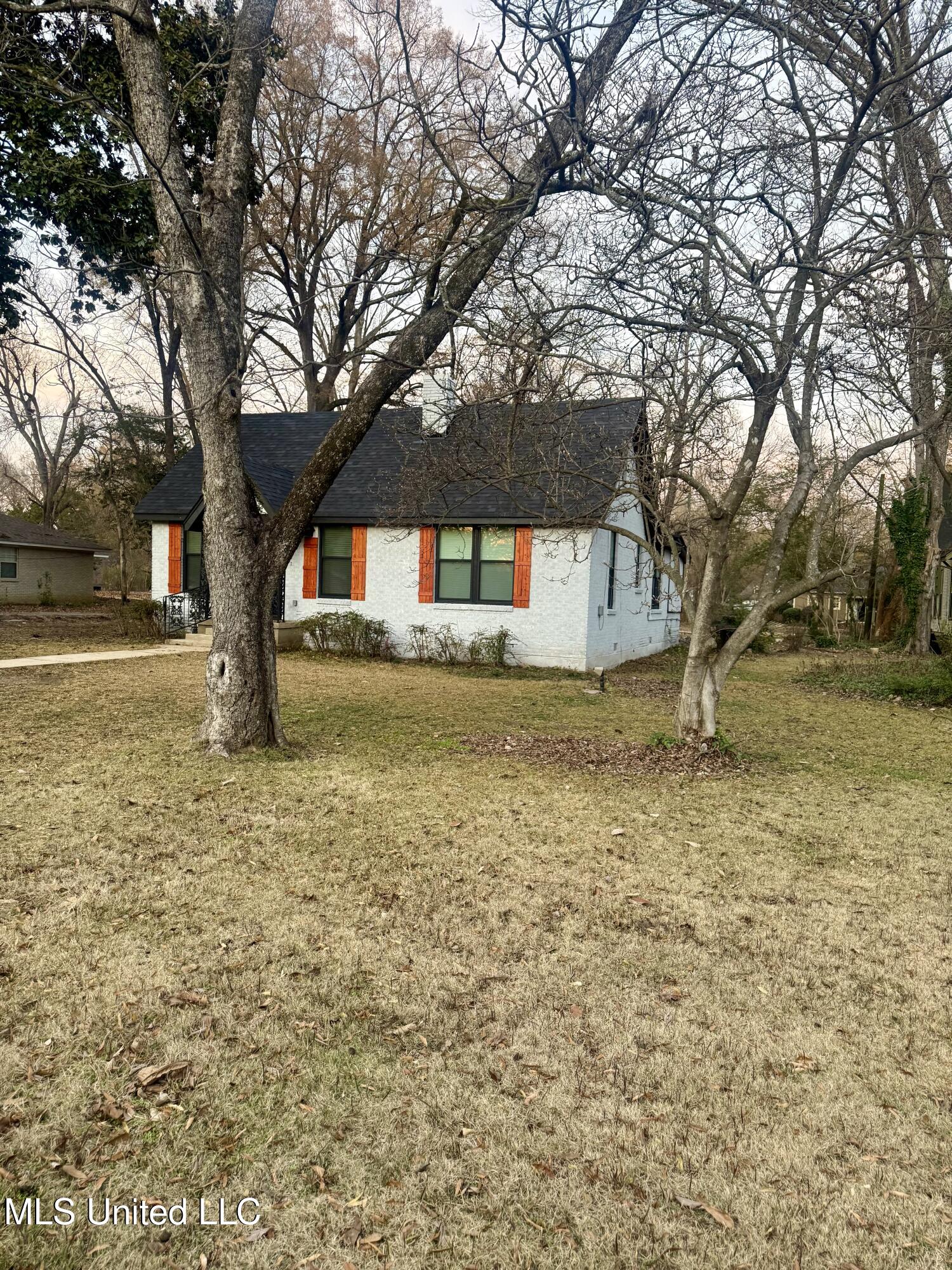 202 Panola Avenue Property Photo 2