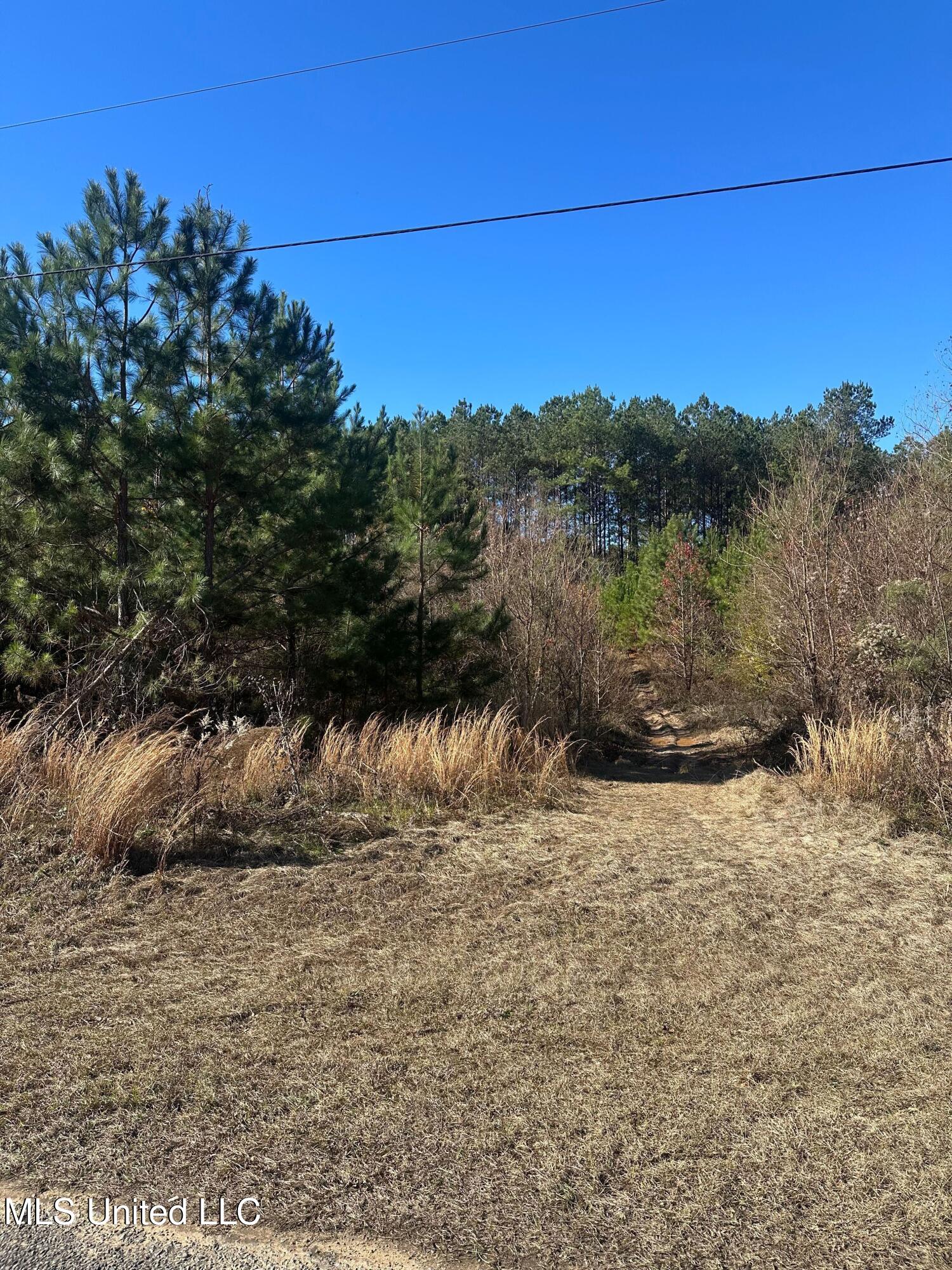 Deer Ridge Road Property Photo 8