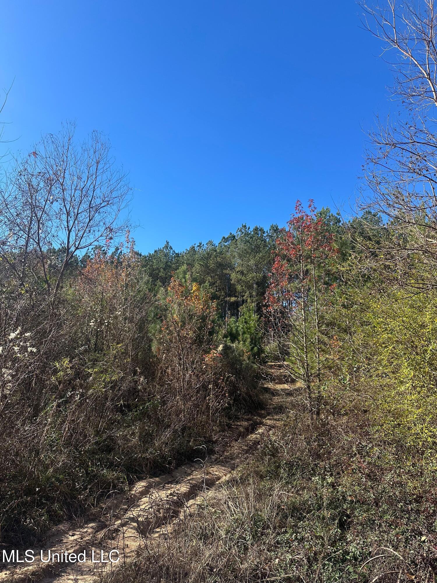 Deer Ridge Road Property Photo 9