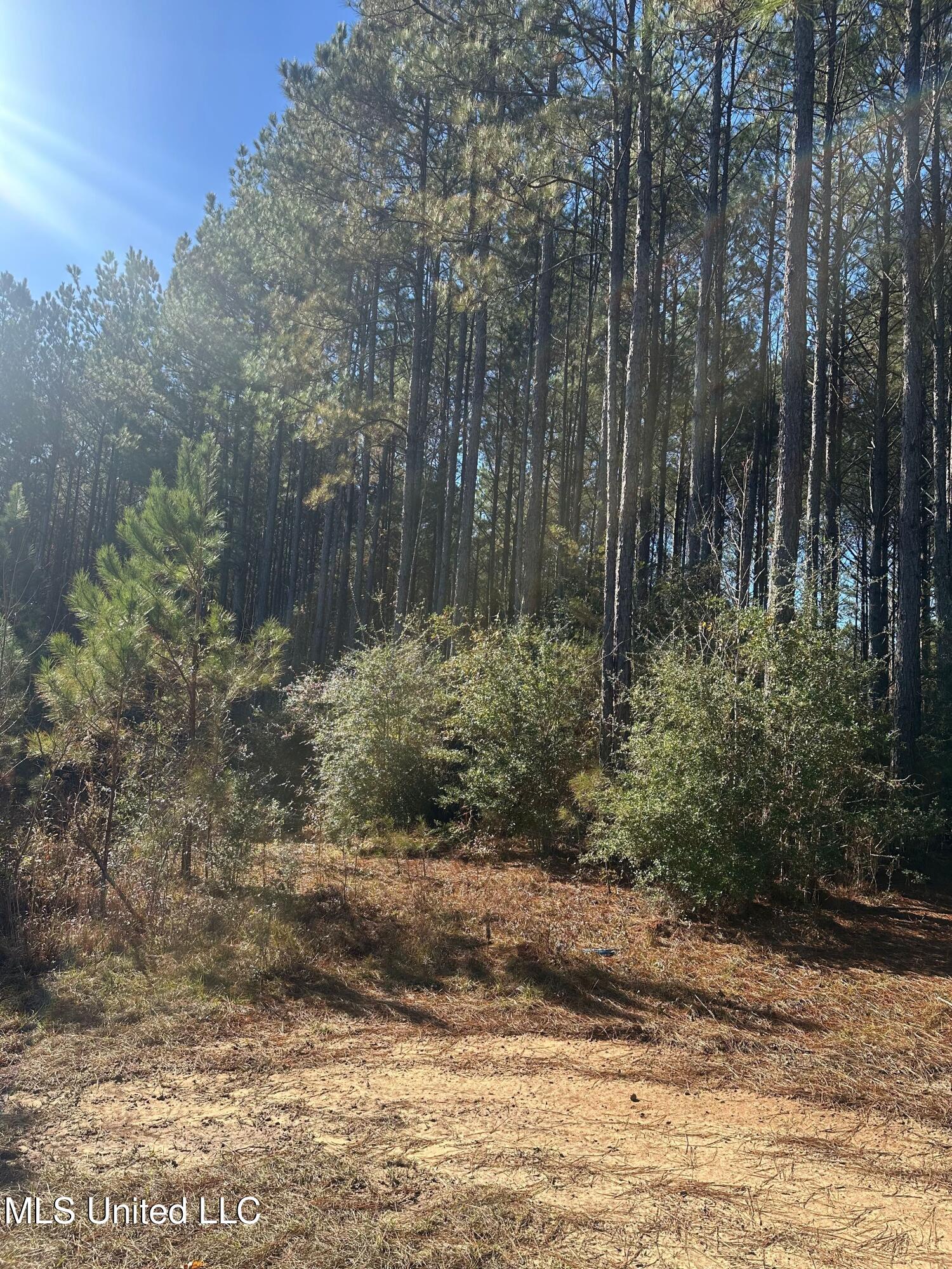 Deer Ridge Road Property Photo 10