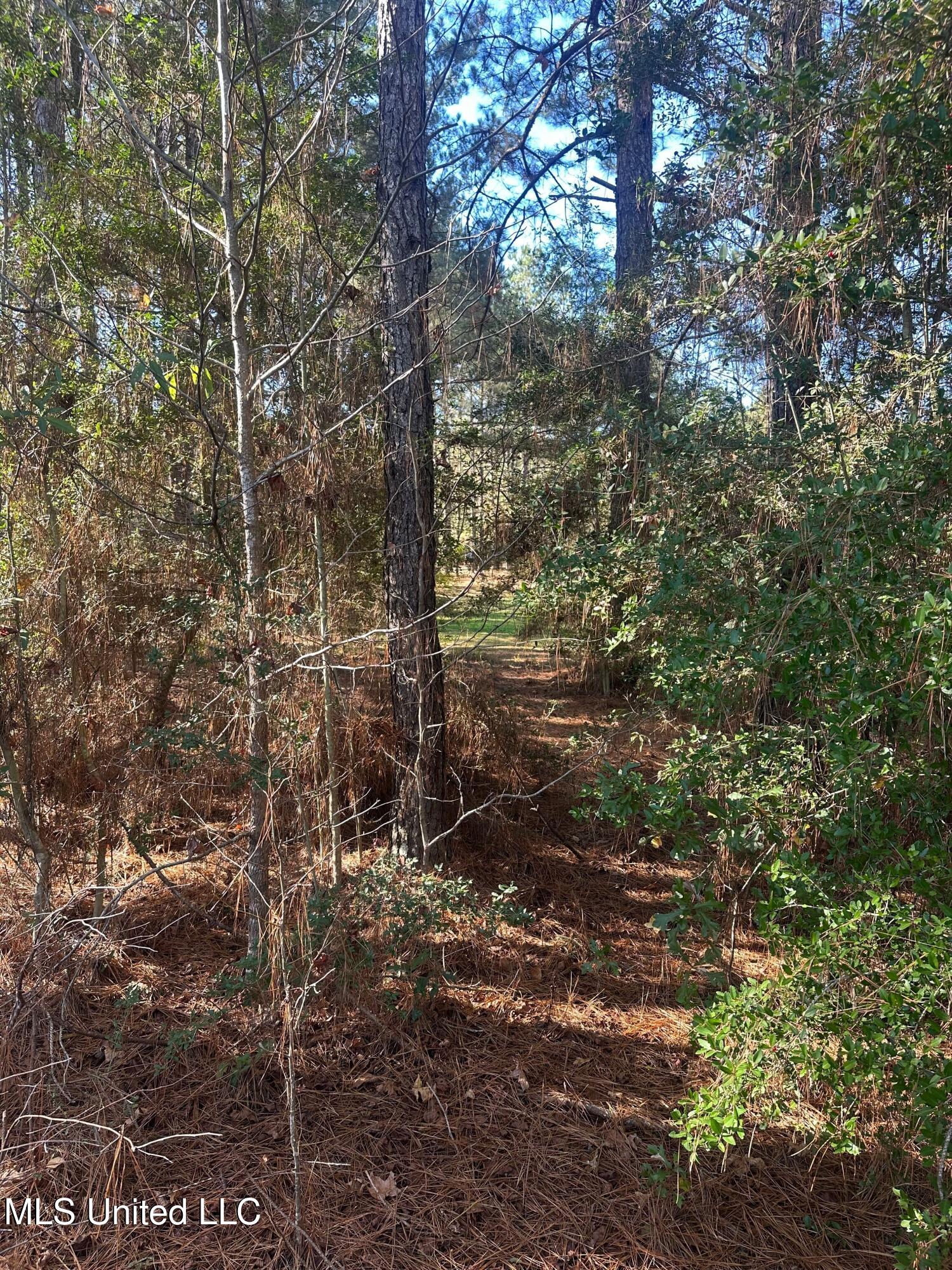 Deer Ridge Road Property Photo 14