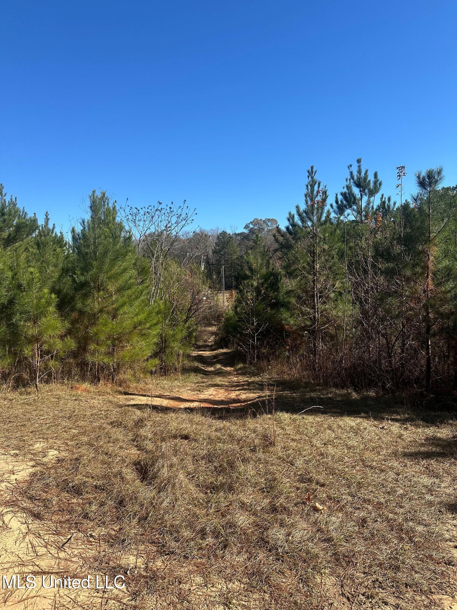 Deer Ridge Road Property Photo 15