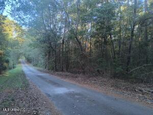 Azalea Lane Property Photo 1