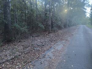 Azalea Lane Property Photo 3