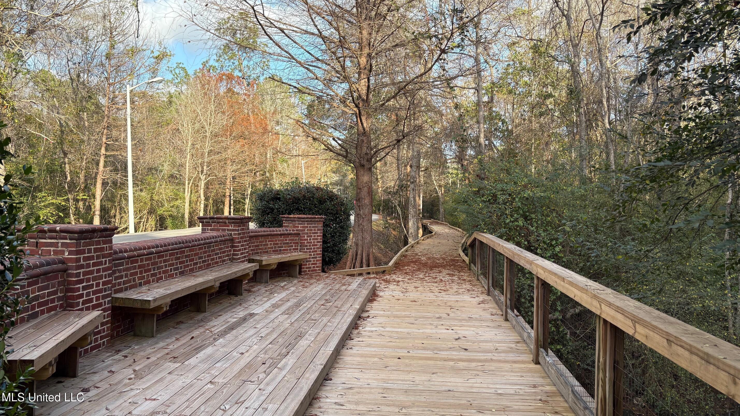 12207 Preservation Drive Property Photo 55
