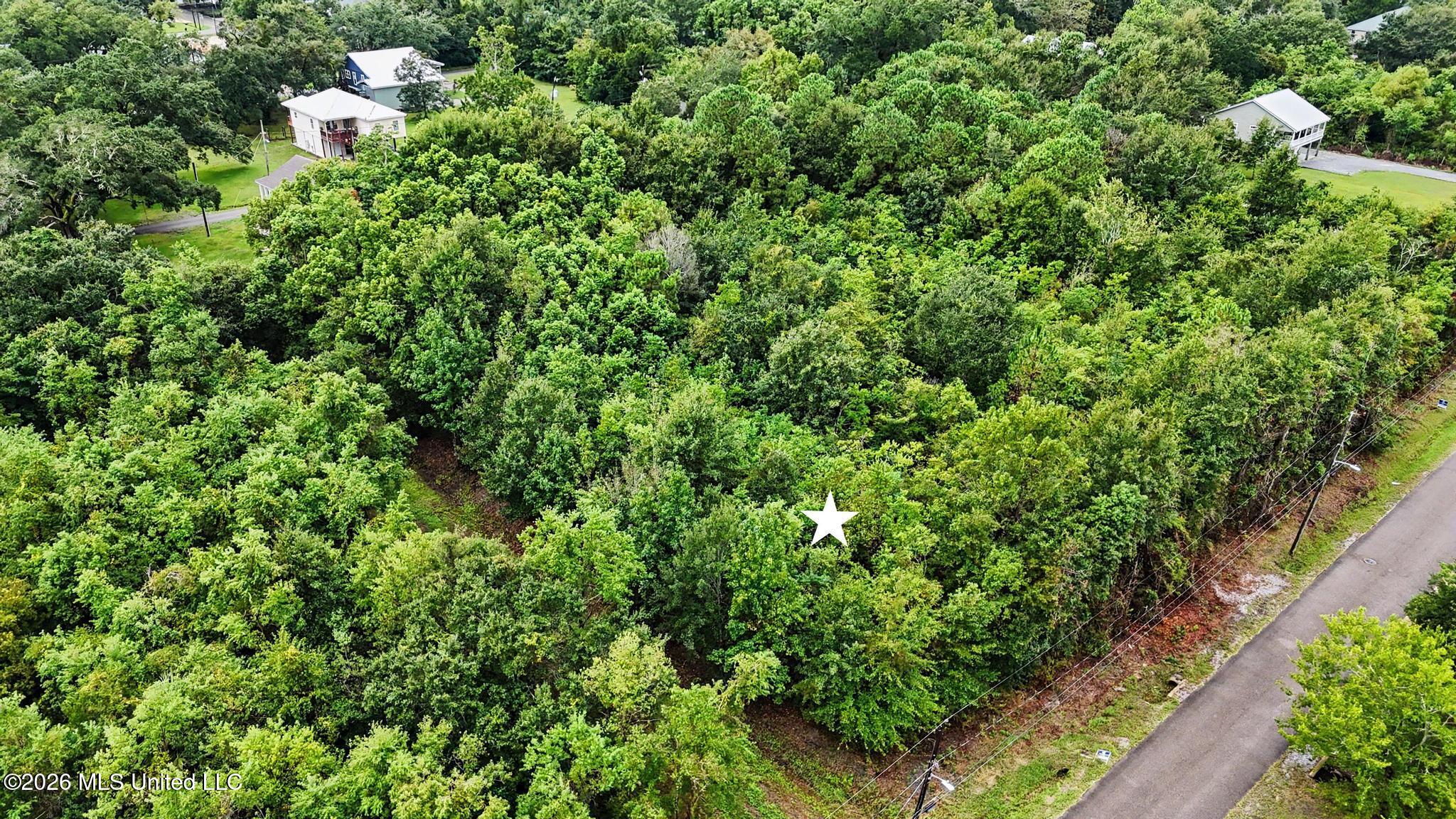 Lot 85d Julia Street Property Photo 3