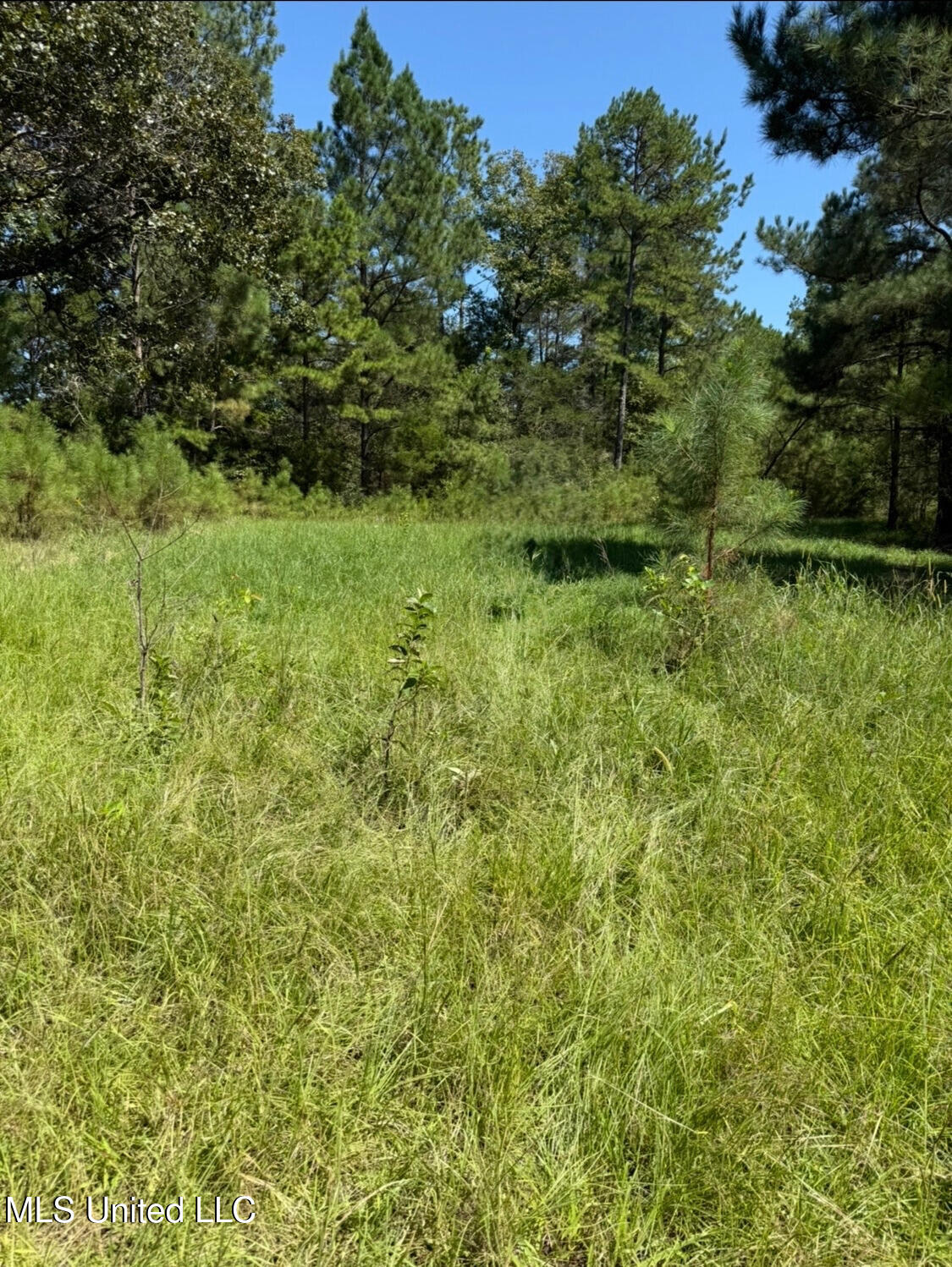 County Road 1113 Property Photo 1