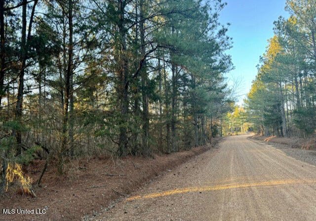 County Road 1113 Property Photo 4