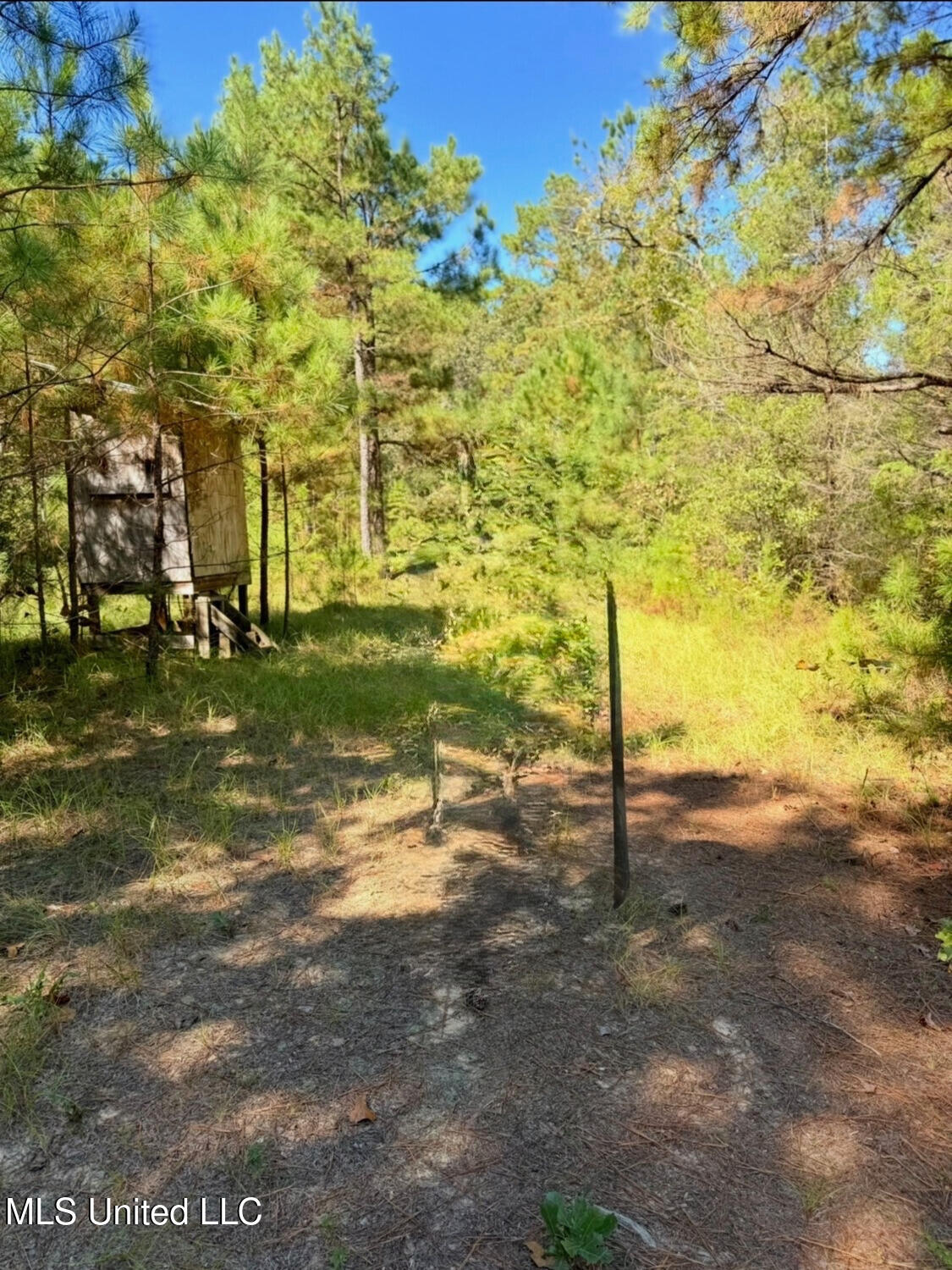 County Road 1113 Property Photo 7