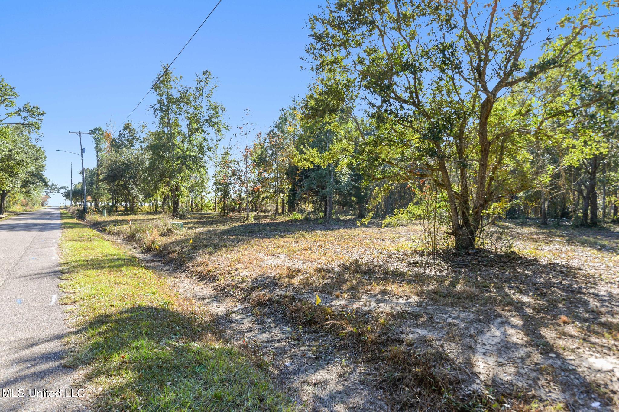 105 Live Oak Boulevard Property Photo 8