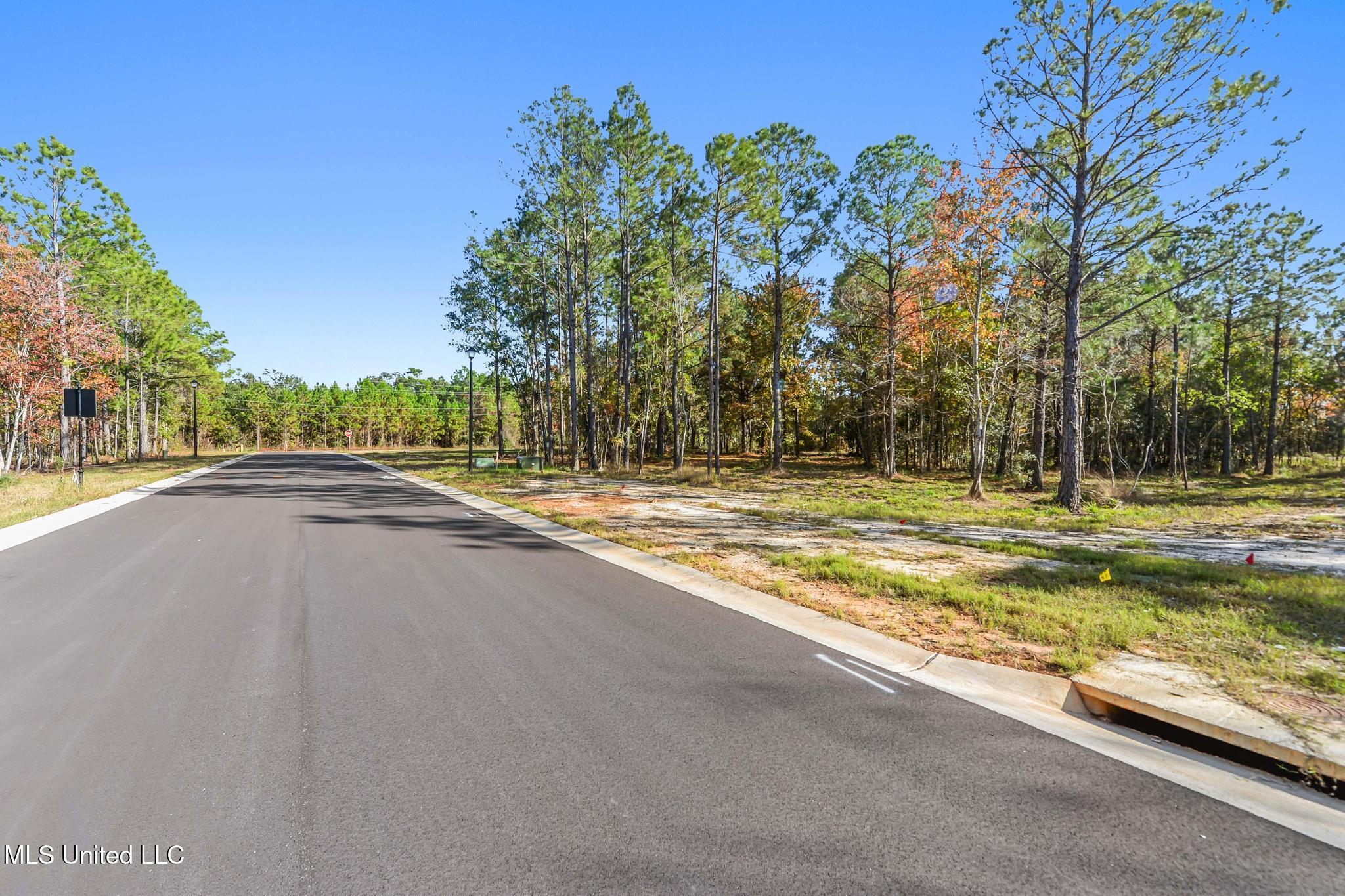 106 Live Oak Boulevard Property Photo 9