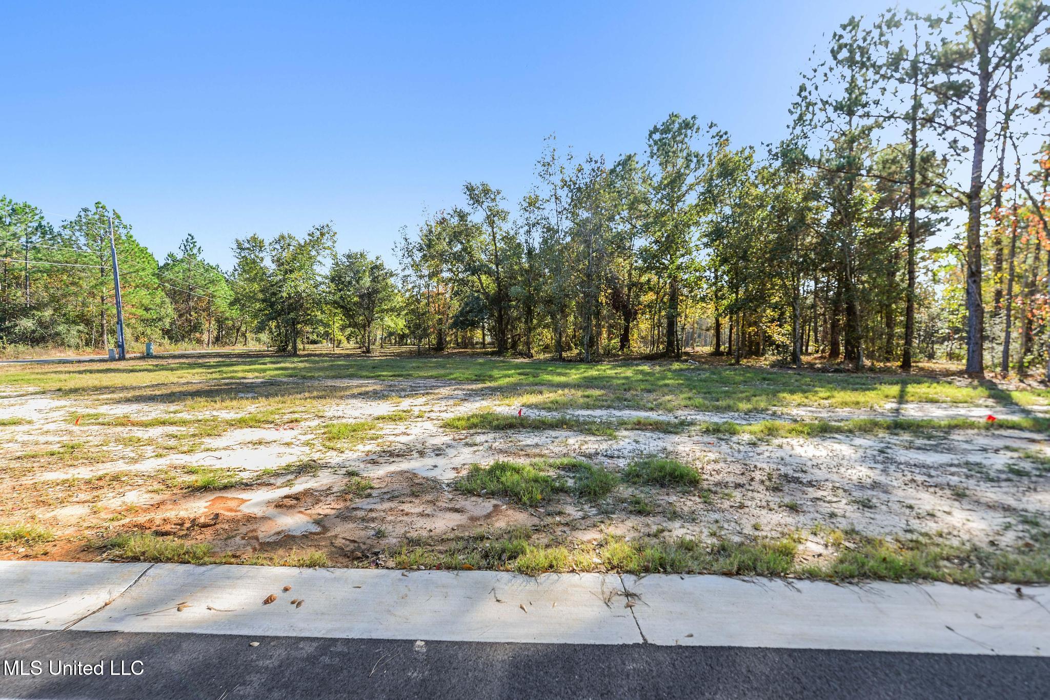 106 Live Oak Boulevard Property Photo 10