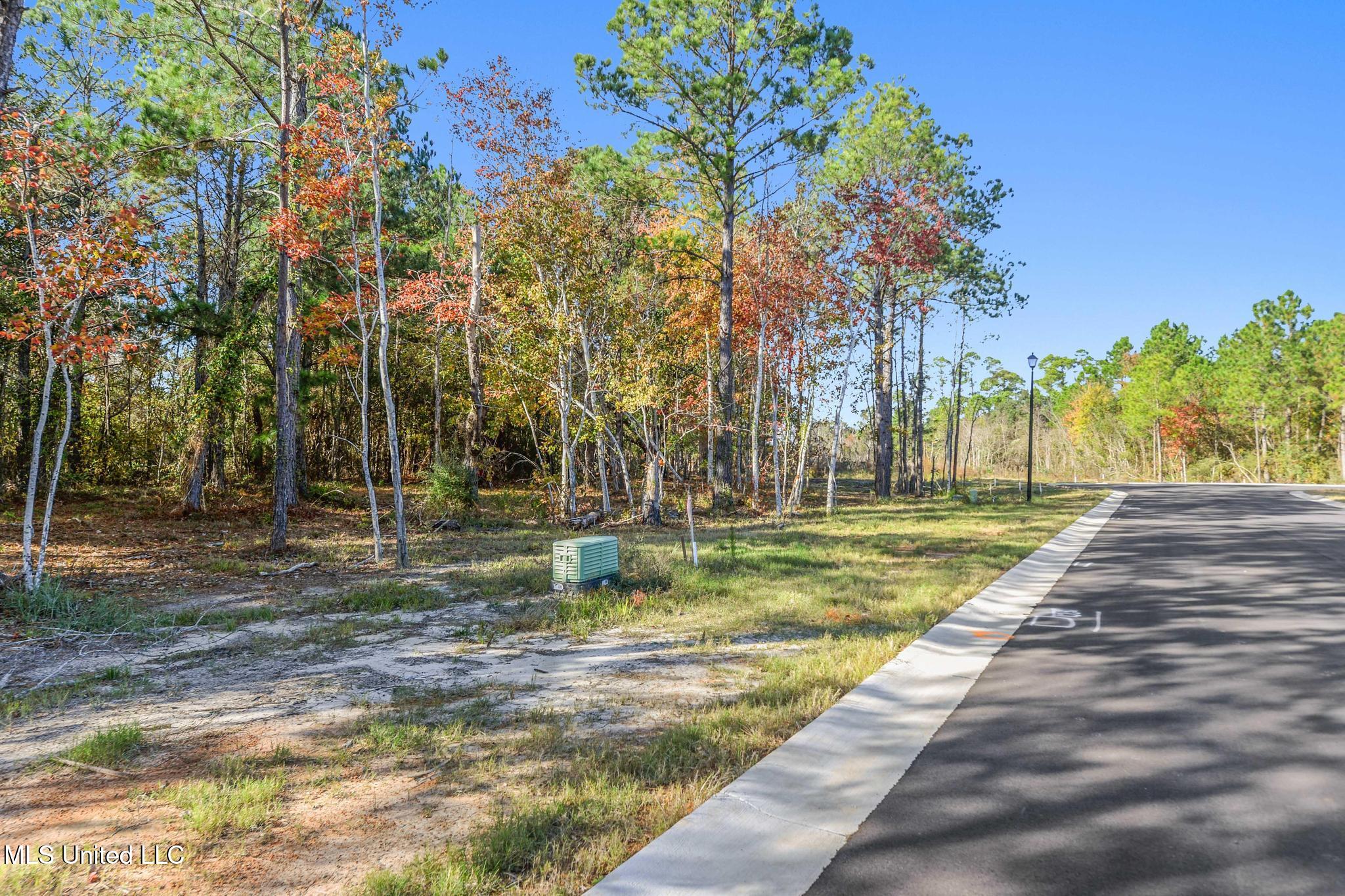 115 Live Oak Cove Property Photo 7