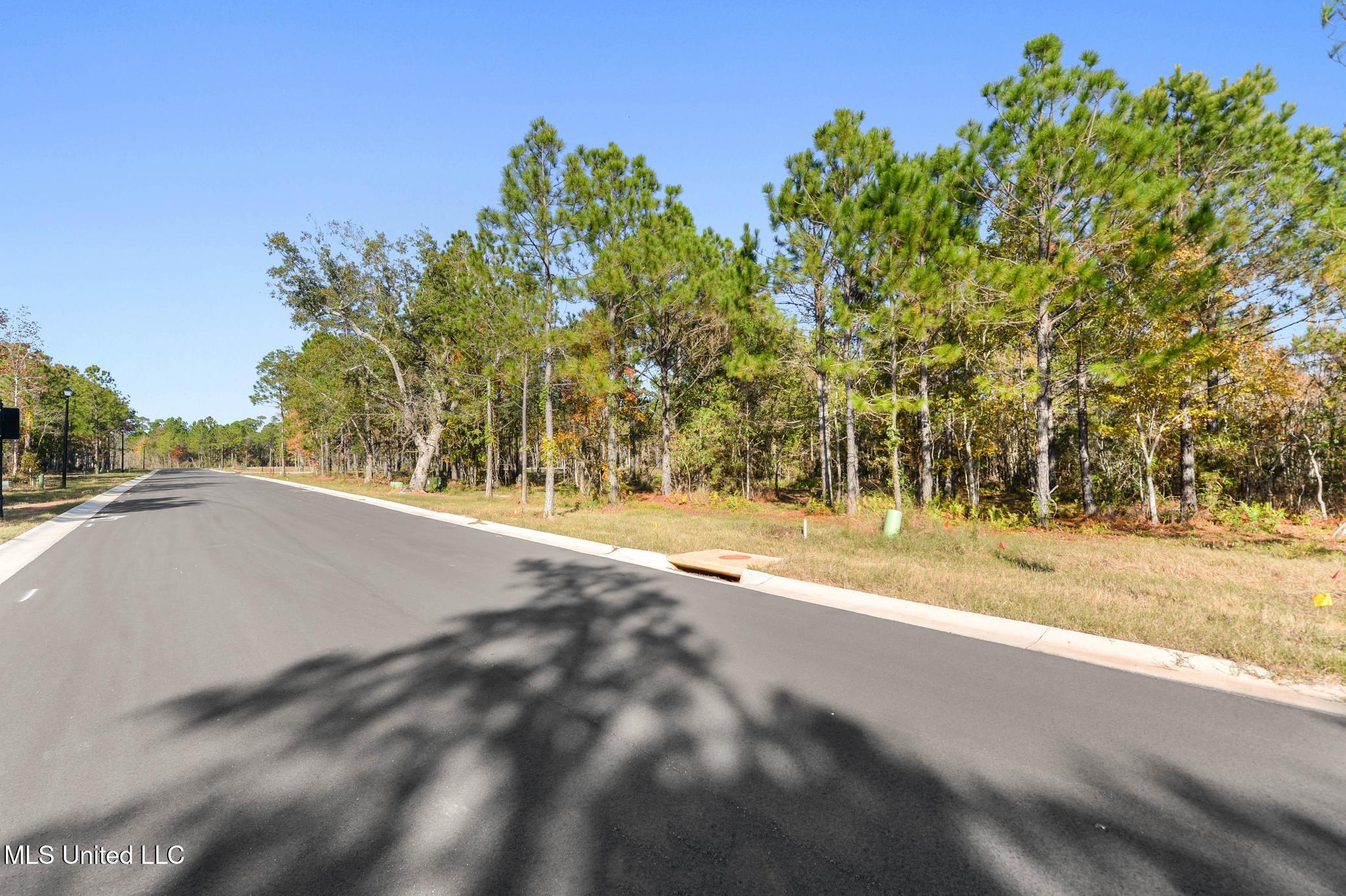 117 Live Oak Cove Property Photo 8