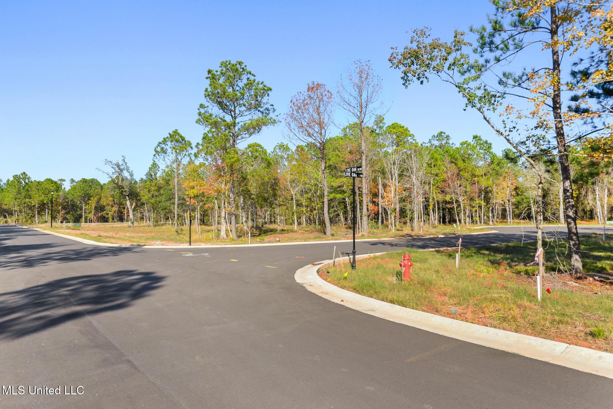 117 Live Oak Cove Property Photo 9