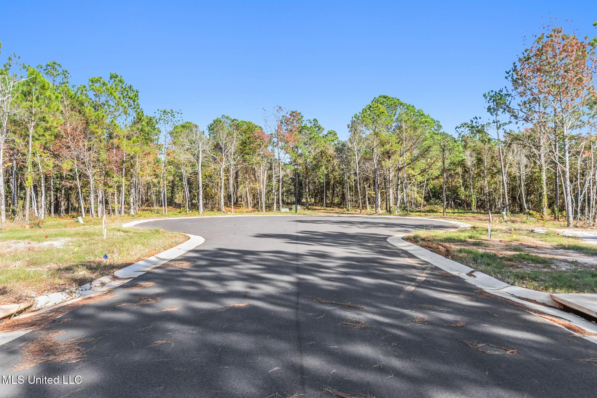 117 Live Oak Cove Property Photo 10