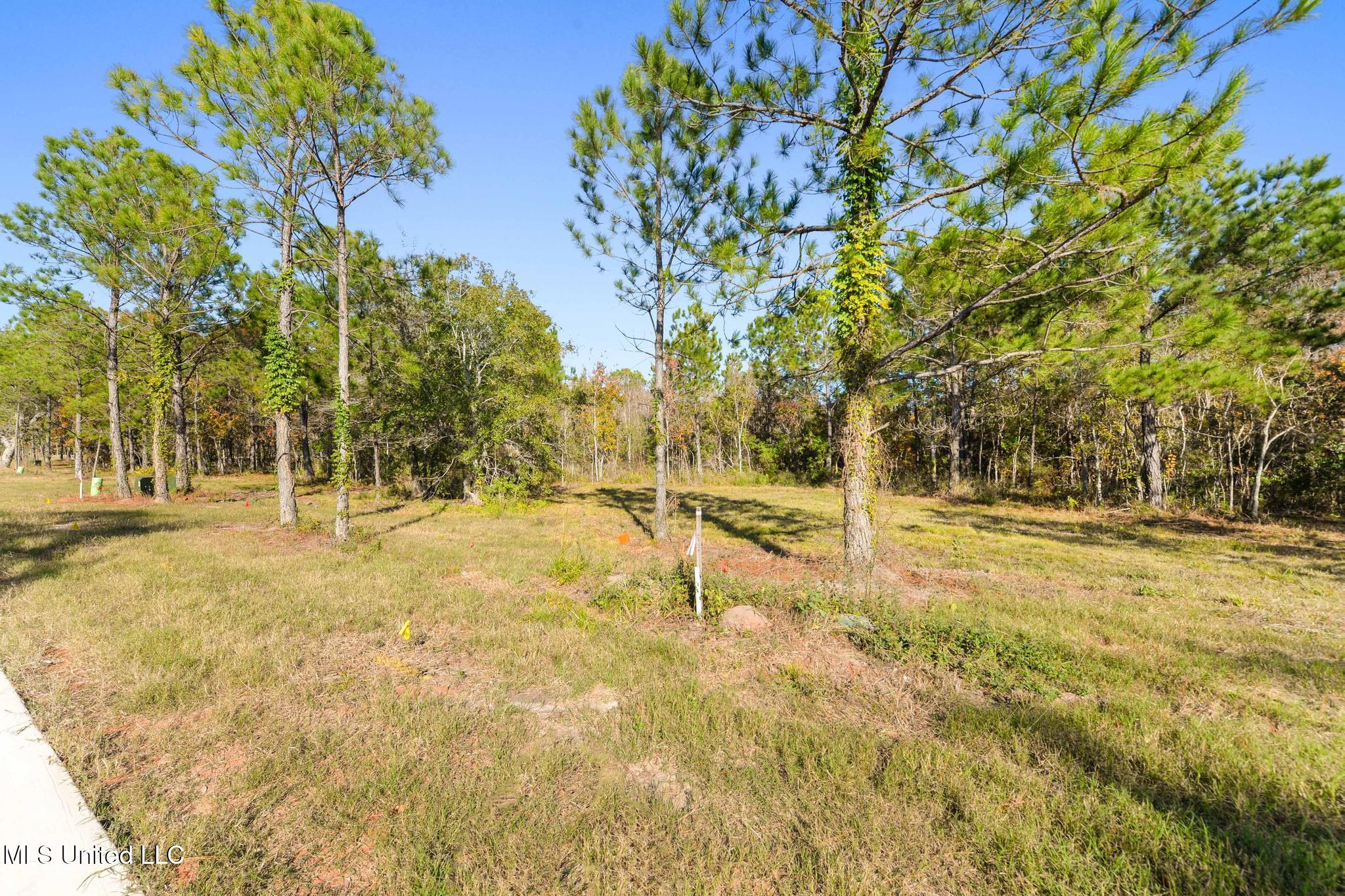 118 Live Oak Boulevard Property Photo 8