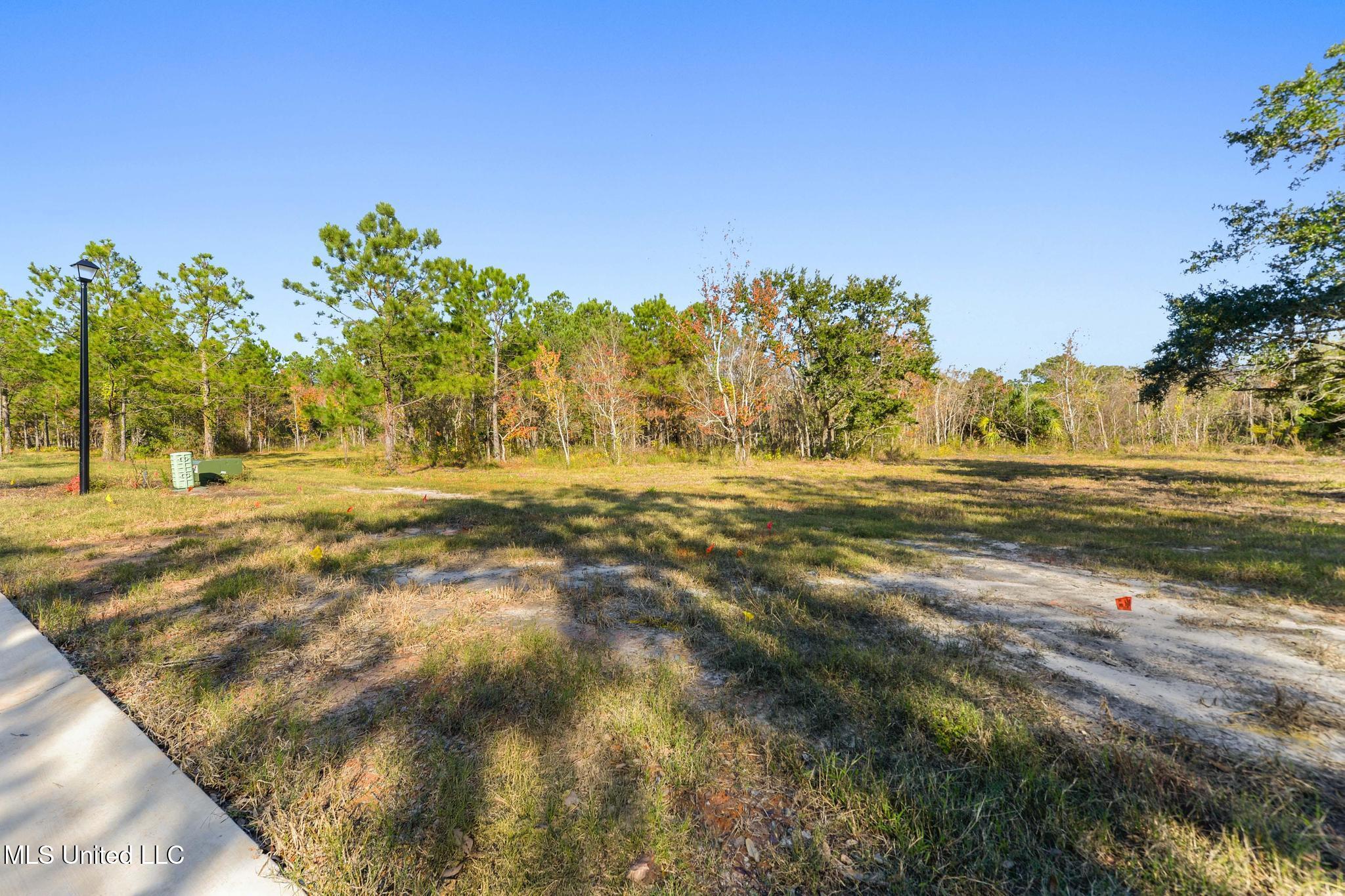 119 Live Oak Boulevard Property Photo 8