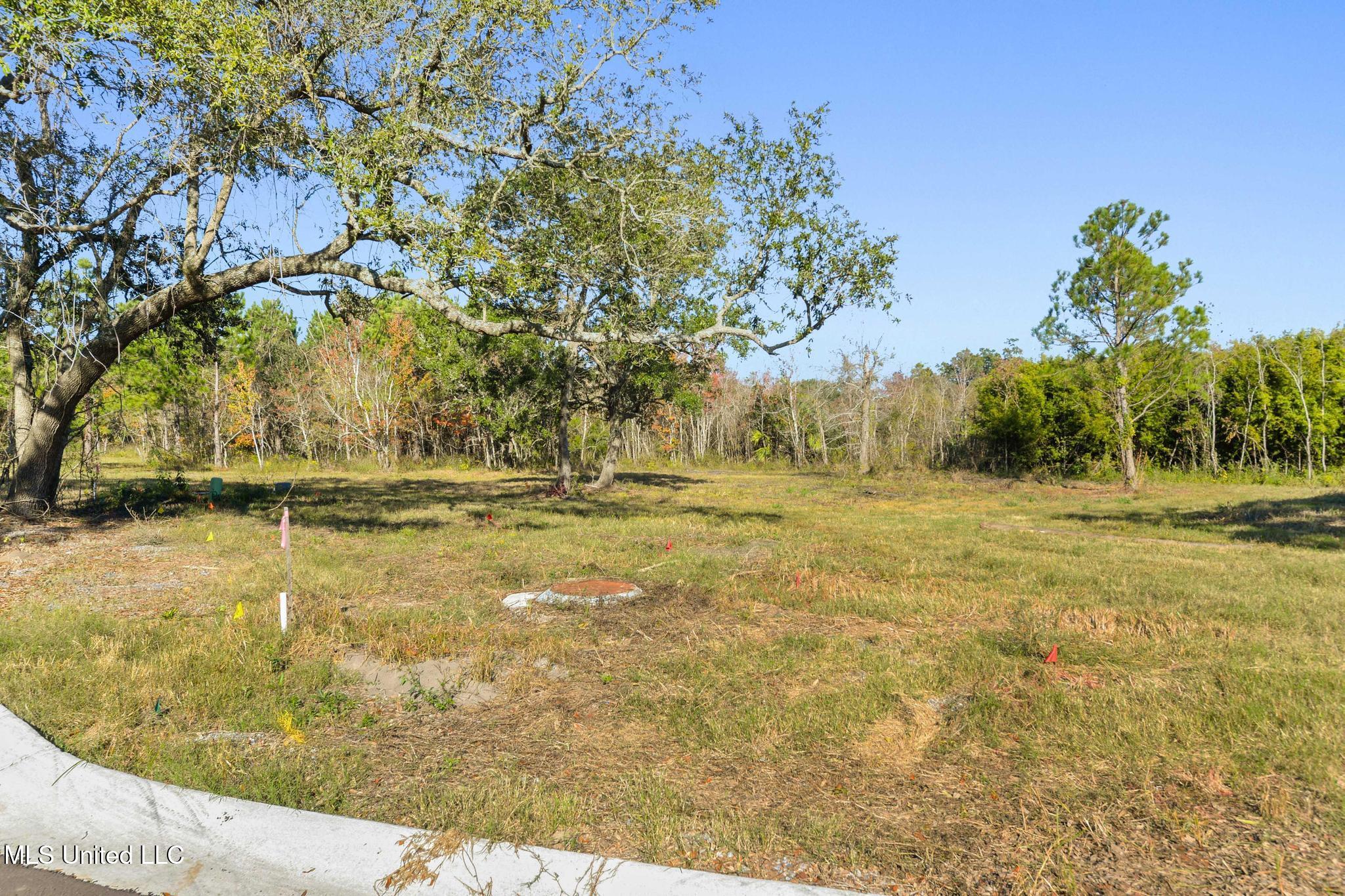 128 Live Oak Boulevard Property Photo 11