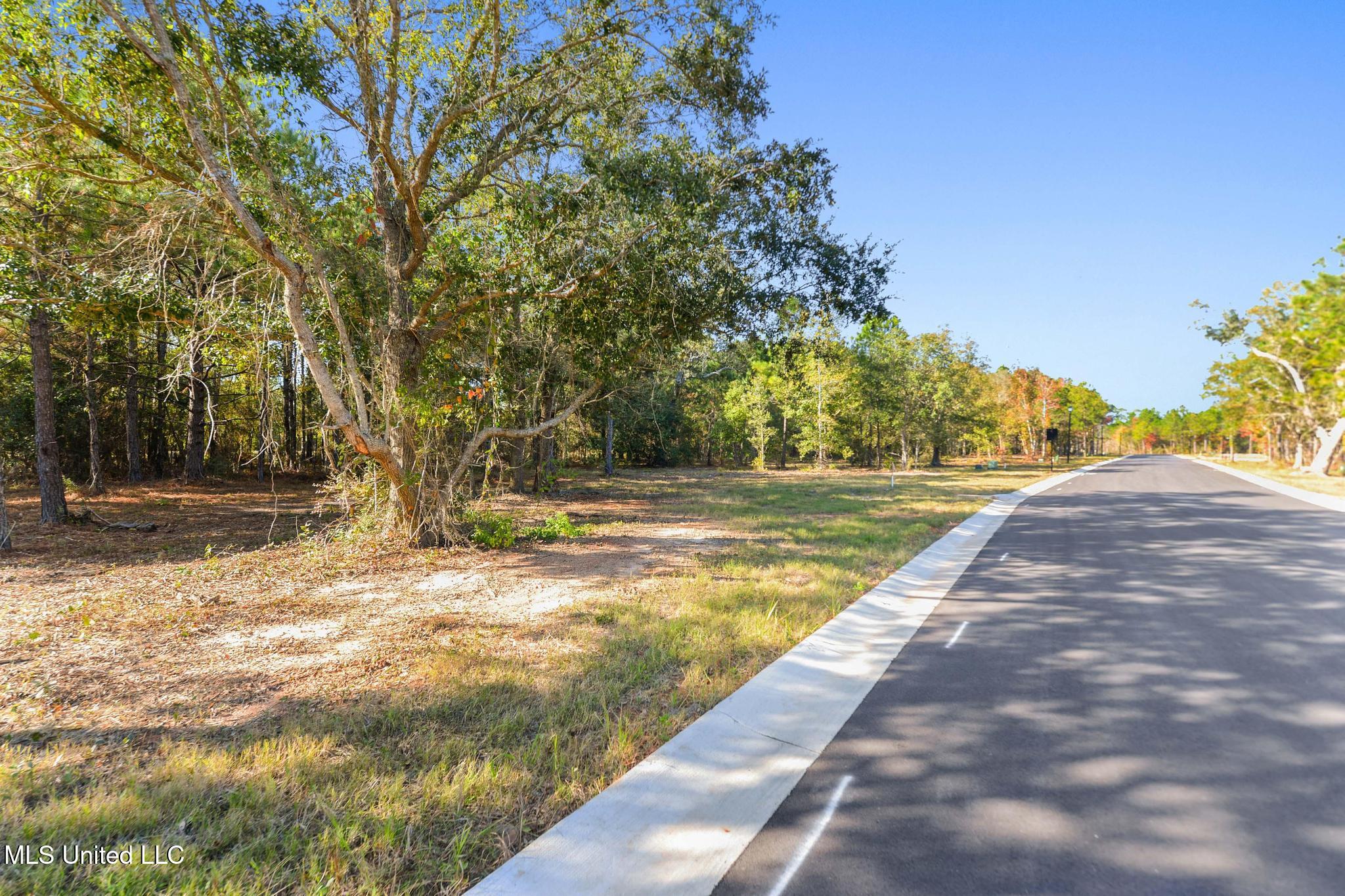 140 Live Oak Boulevard Property Photo 8