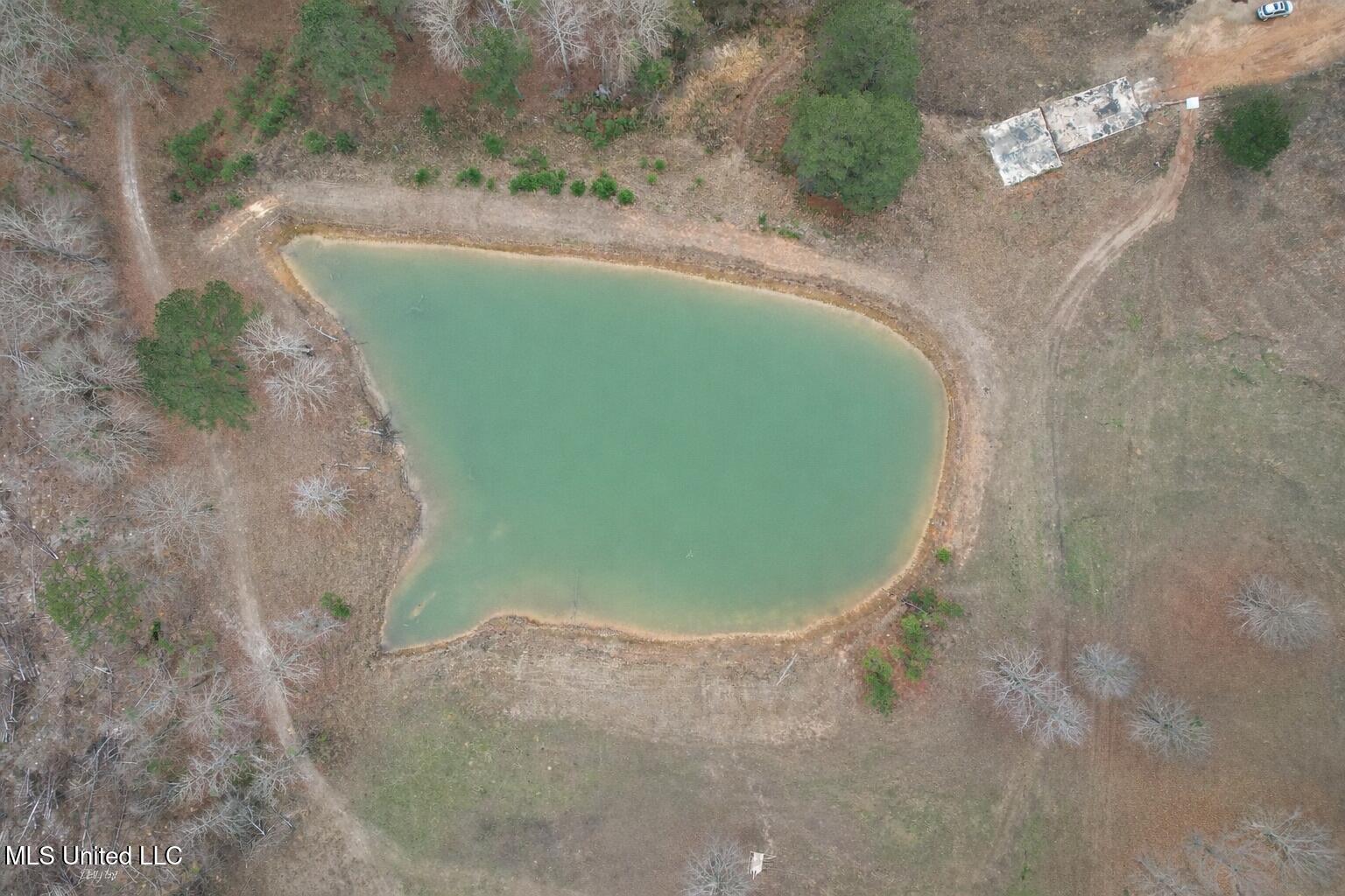 0 Coosa Road Property Photo 3