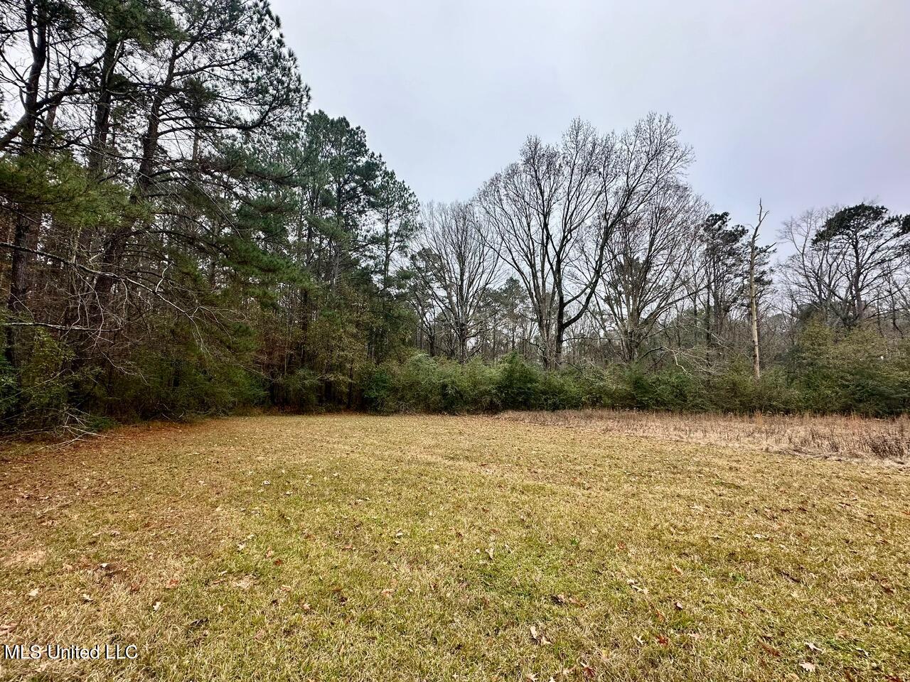 399 James Boyakin Barnett Road Property Photo 25