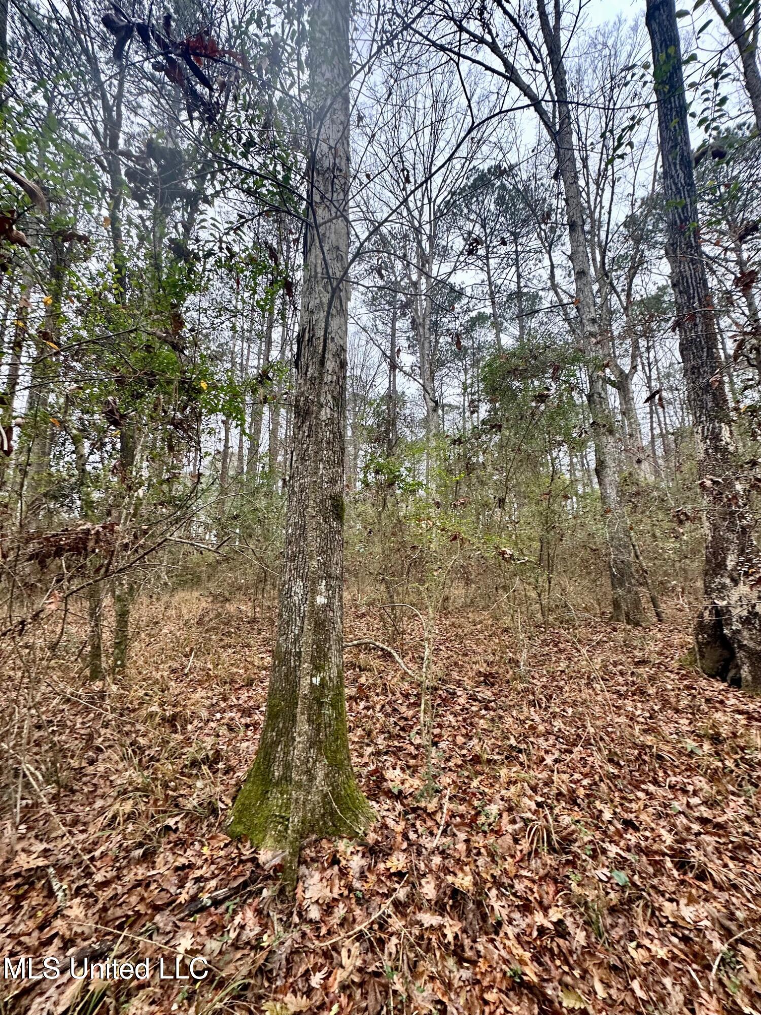 399 James Boyakin Barnett Road Property Photo 33
