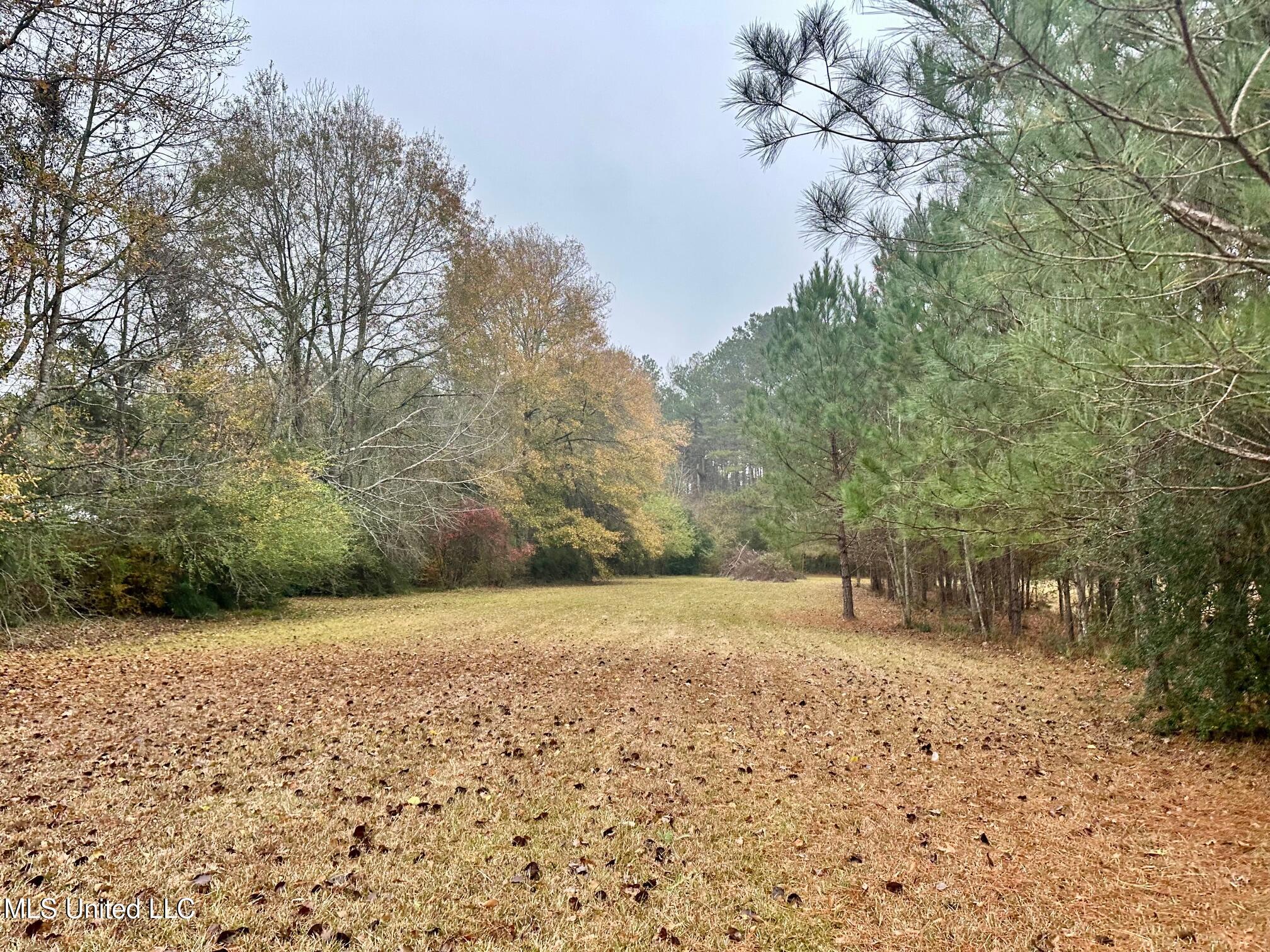 399 James Boyakin Barnett Road Property Photo 45