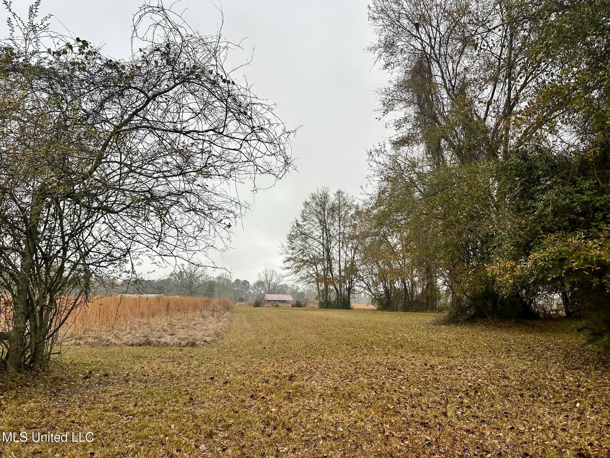 399 James Boyakin Barnett Road Property Photo 46