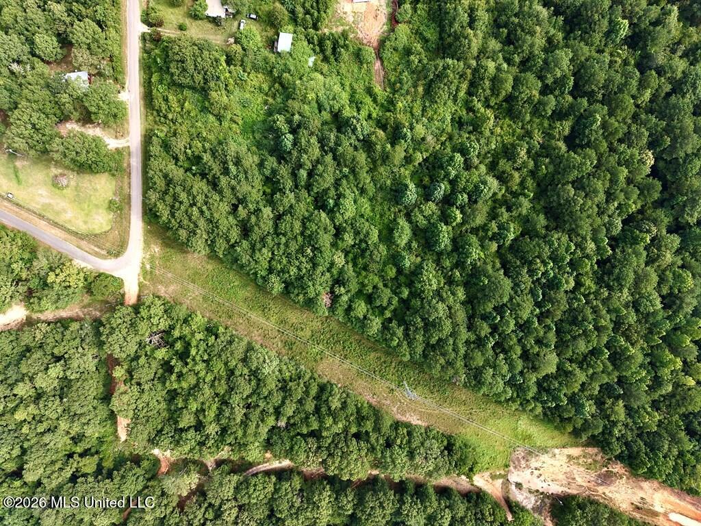Tamchelle Road Property Photo 3