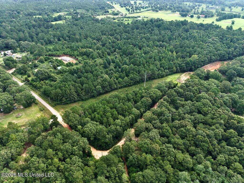 Tamchelle Road Property Photo 6